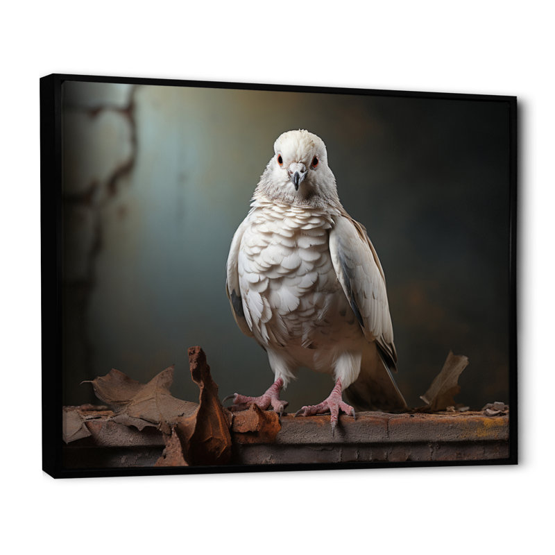 Gray Dove Portrait II, reproduction d'art sur toile, H 34 po x l 44 po x P 1,5 po, Cadre flottant noir