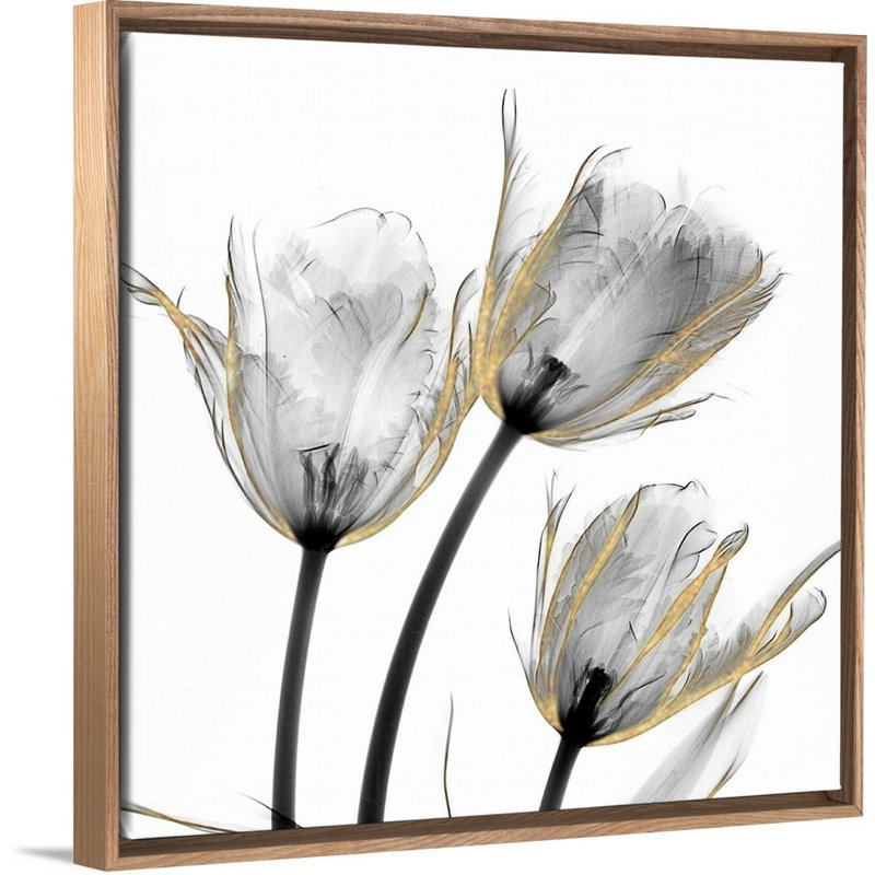 «Gold Embellished Tulips 2» par Albert Koetsier, reproduction d'art sur toile, Toile à cadre flottant naturel