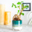 Nicola Spring - Reactive Glaze Footed Plant Pot-63880920-63880922