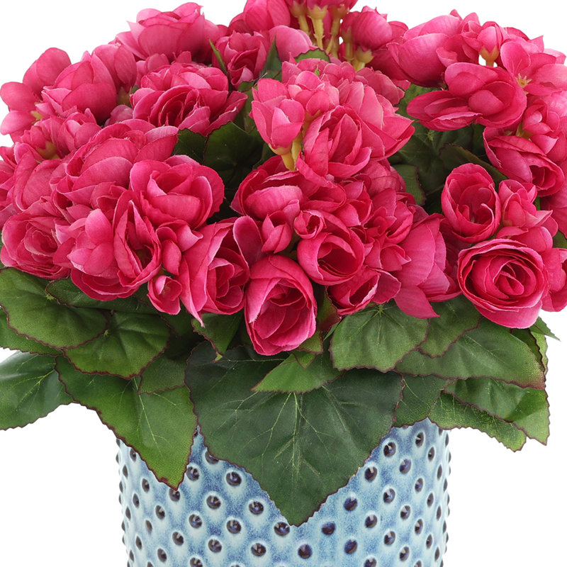 Bégonias dans un pot en céramique à pois, Rose