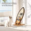  Grattoir en forme de planche de surf pour chat Palm Beach
