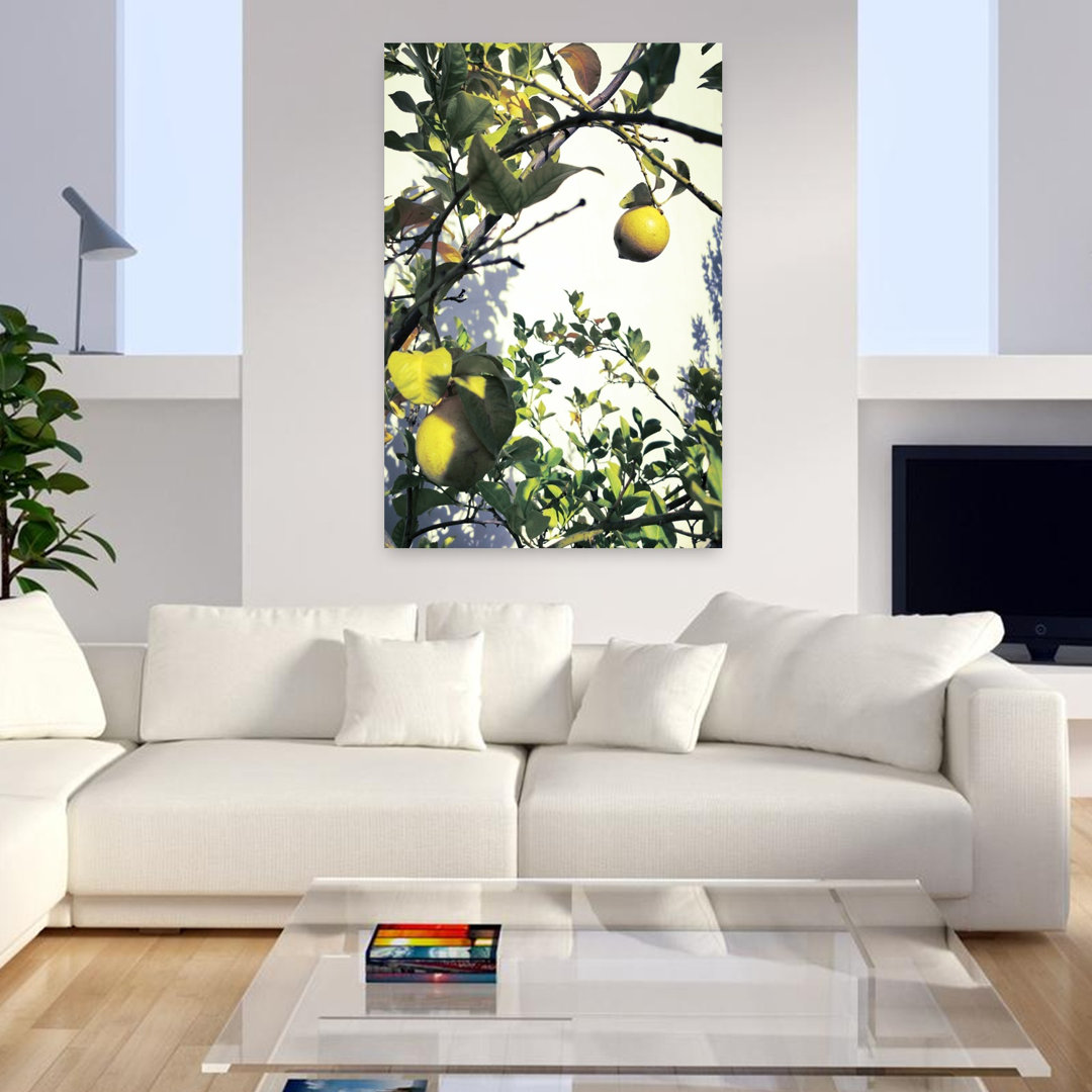 Contemporary Art Organic Abstract Nature Landscape Wall Art