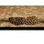 Tapis Calica-1569332673