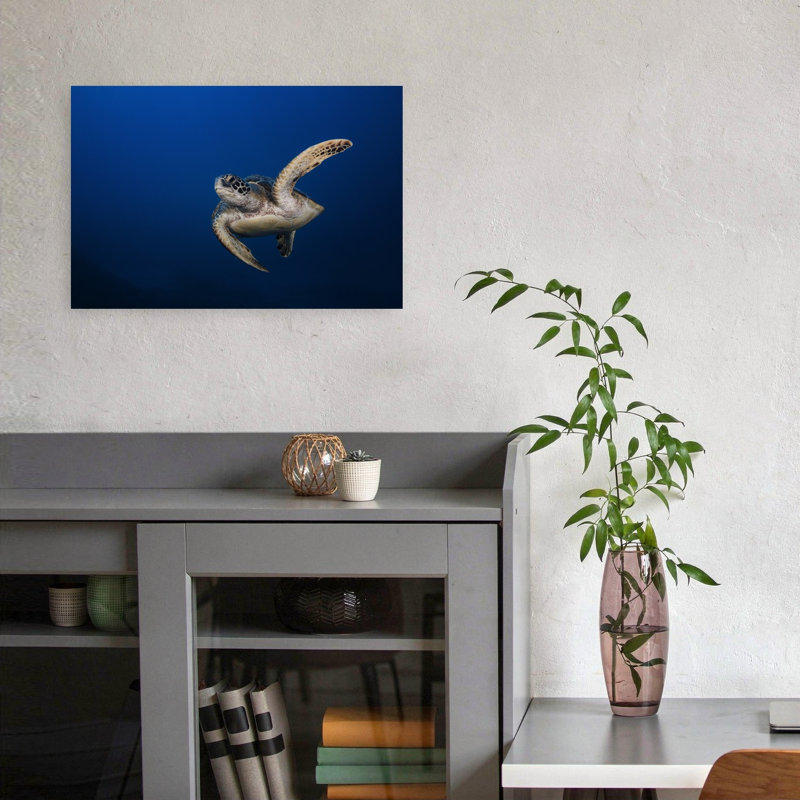 Gliding Sea Turtle Peaceful Serene Tranquil Turtle Nature Ocean Wall Art Print 1 Piece Wrapped Canvas Wall Art