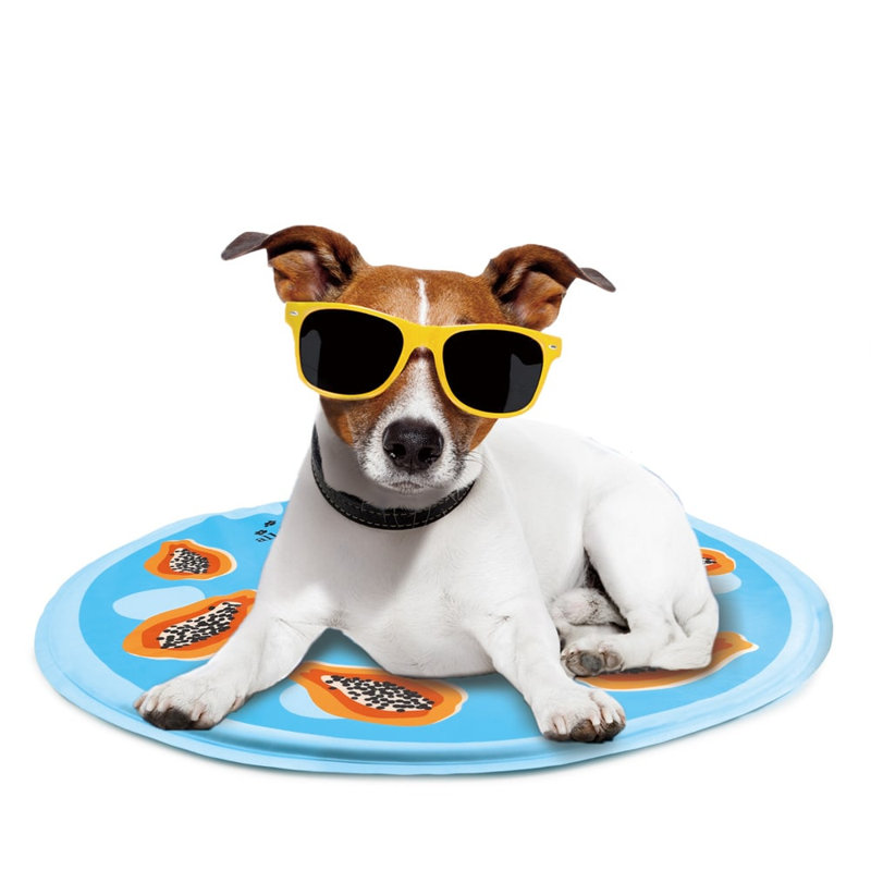 Tapis de refroidissement pour animaux de compagnie