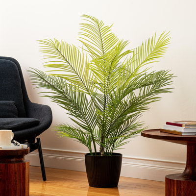 50 plantes