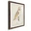 Barn Owl Premium encadré mat - prêt à accrocher-1890251788-1890251786