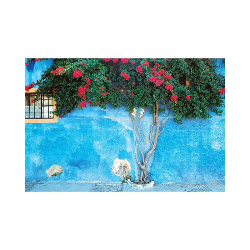 Mexique, Ajijic. Bougainvillée contre le mur. par Jaynes Gallery - Photographie sur toile tendue