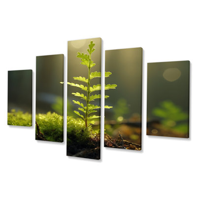 «Young Tree Forest Sunset - Leaves», art mural 5 pièces