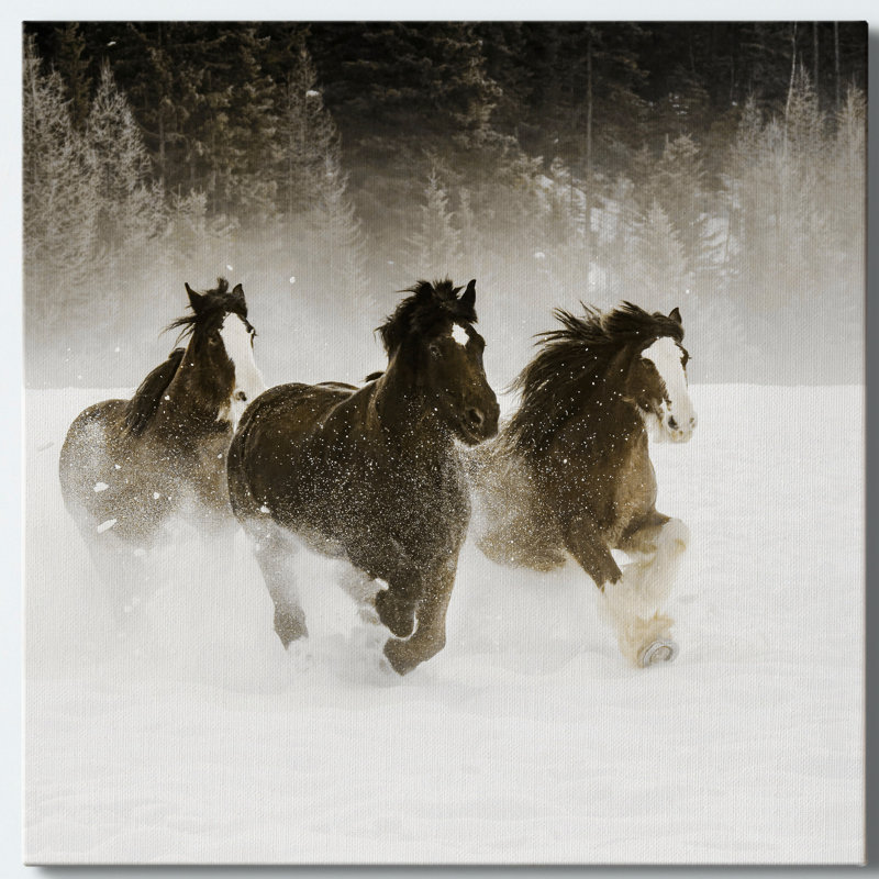 Winter Roundup II - impression sur toile tendue, H 32 po x l 32 po x P 1 po