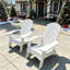 Ensemble de 2 chaises Adirondack Ehomexpert Populus-130139071-130139072