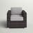 Melanie Fully Assembled Patio Chair with Cushions-1505263968-1590417594