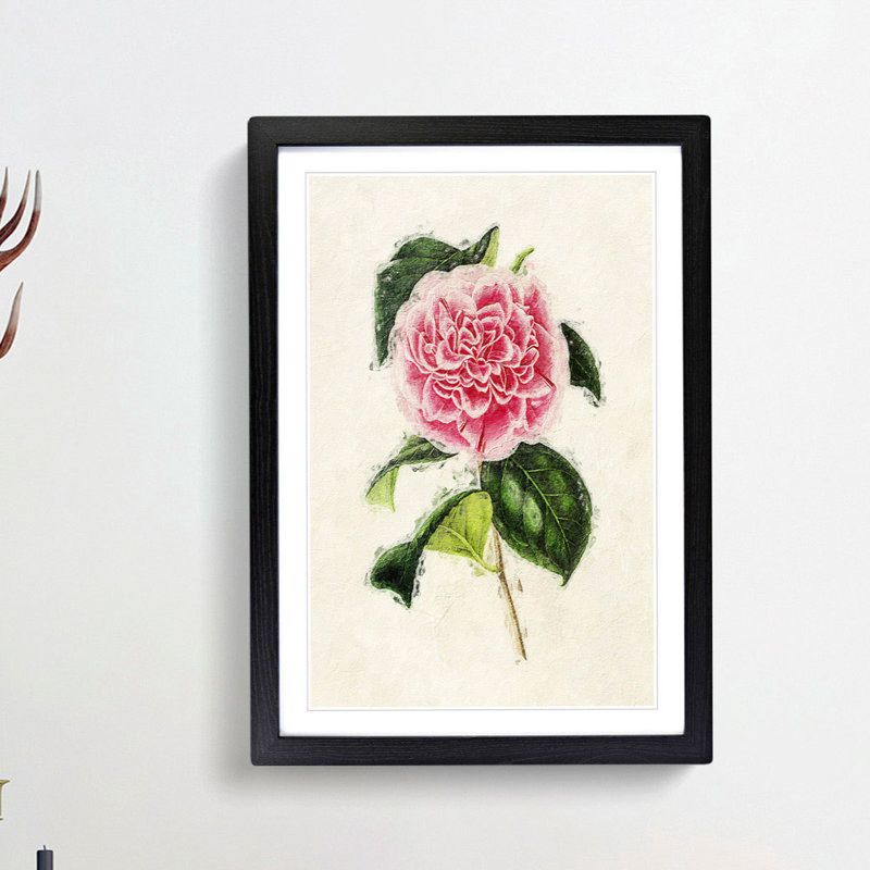 Illustration of a Pink Japanese Camellia - Picture Frame Painting Print, 65cm H x 48cm W x 2cm D, Black Framed