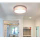Jessalyn Single Light LED Flush Mount