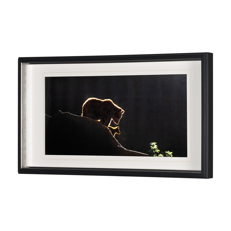 Protection by Xavier Ortega a Framed Art Print Matted under Glass