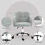Daijha Swivel Desk Chair, Teddy Fleece, for Home Study Bedroom, Cream White-971629595
