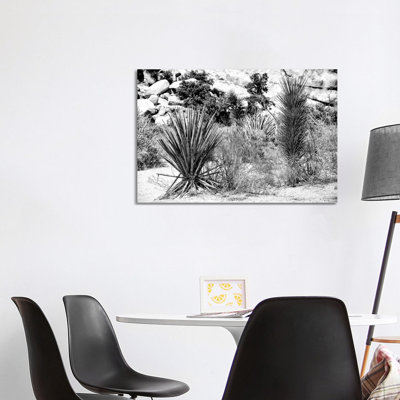 Desert Plants 1 Piece Wrapped Canvas Wall Art