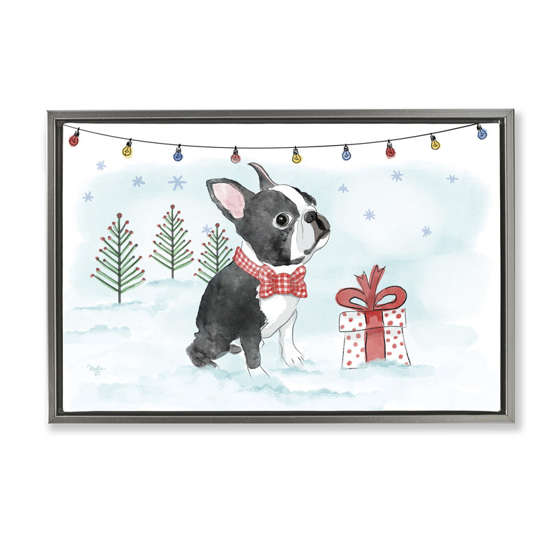 «Snowy Boston Terrier» par Mollie B., Cadre flottant gris lustré, H 21 po x l 31 po