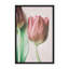 Nature Inspired The Spring Lovers by  - Picture Frame Graphic Art on Paper-131292473-131292479-131292484