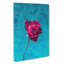 Fuscia Pink Dying Rose - Wrapped Canvas Painting-56641438