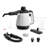 Multi Surface Steamer