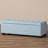 Mesina Polyester Blend Upholstered Storage Bench-1452771749