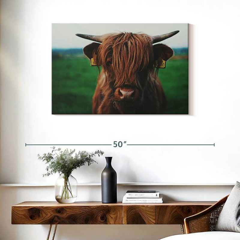 Brampt Highland Cow Close Up, 24" H x 36" W