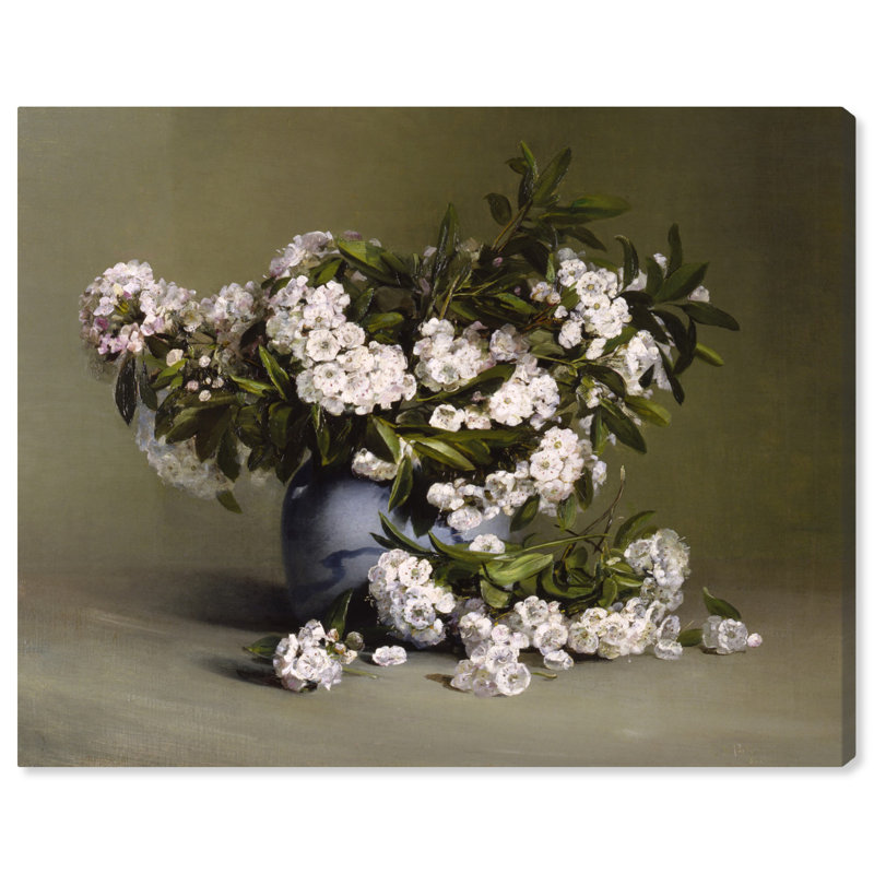 Mountain Laurel Vintage Wall Art on Canvas, 20" x 16"