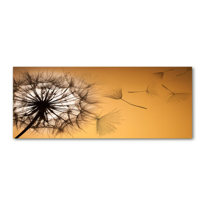 Dandelion - Wrapped Canvas Print