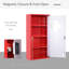 Wall Mount Medicine Cabinet Lockable with 2 Keys for Bathroom