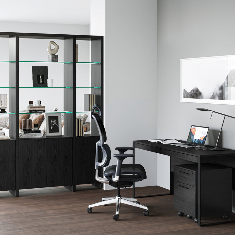 Linea™ 15.5'' Wide 2 -Drawer Mobile File Cabinet, Charcoal Stained Ash