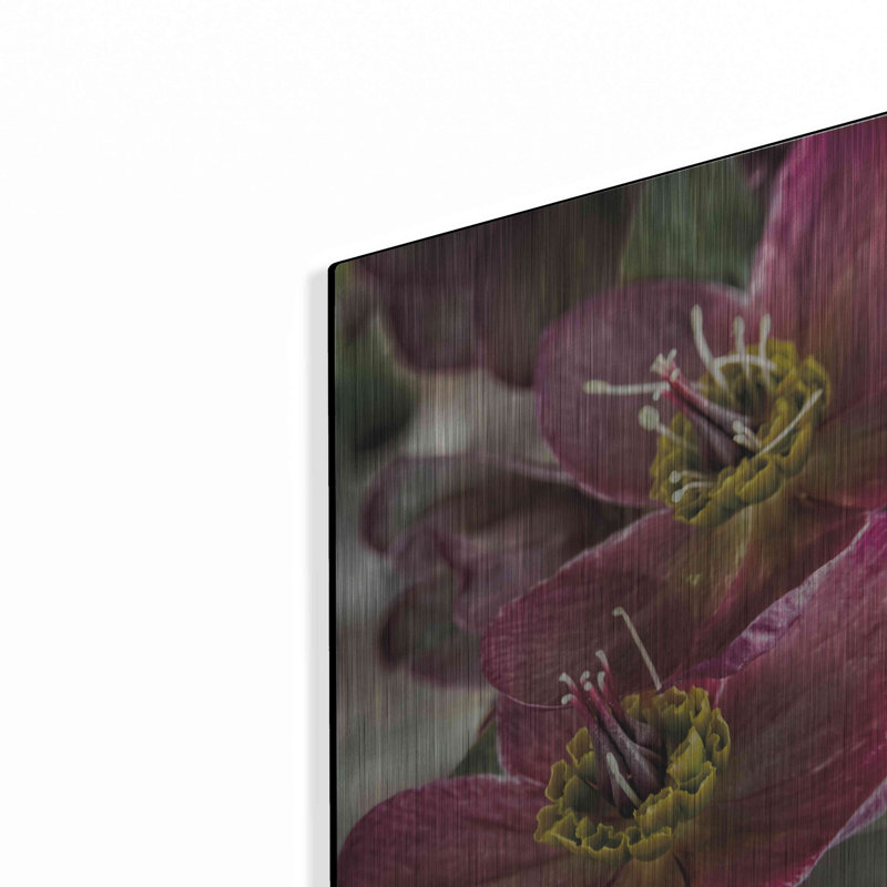 «Lenton Rose V» par Debra Van Swearingen, H 16 po x l 12 po