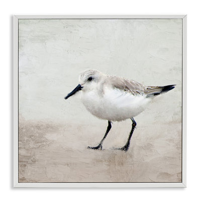 «Lone Sandpiper Bird Portrait», art mural texturé giclée par Kim Allen_aq-605