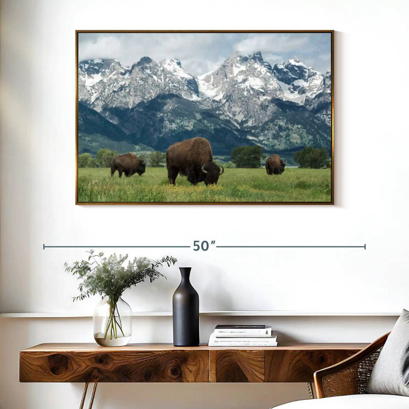 Bison Teton broutant, Cadre flottant doré, 40 po x 27 po