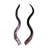 Polished Kudu Horn