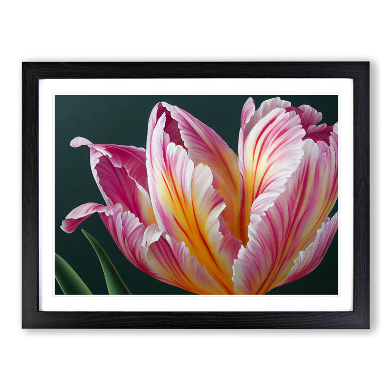 Heavenly Flower - Single Picture Frame Print, Black, 46cm H x 64cm W x 2cm D