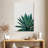 Harnek Agave Cactus-108447209