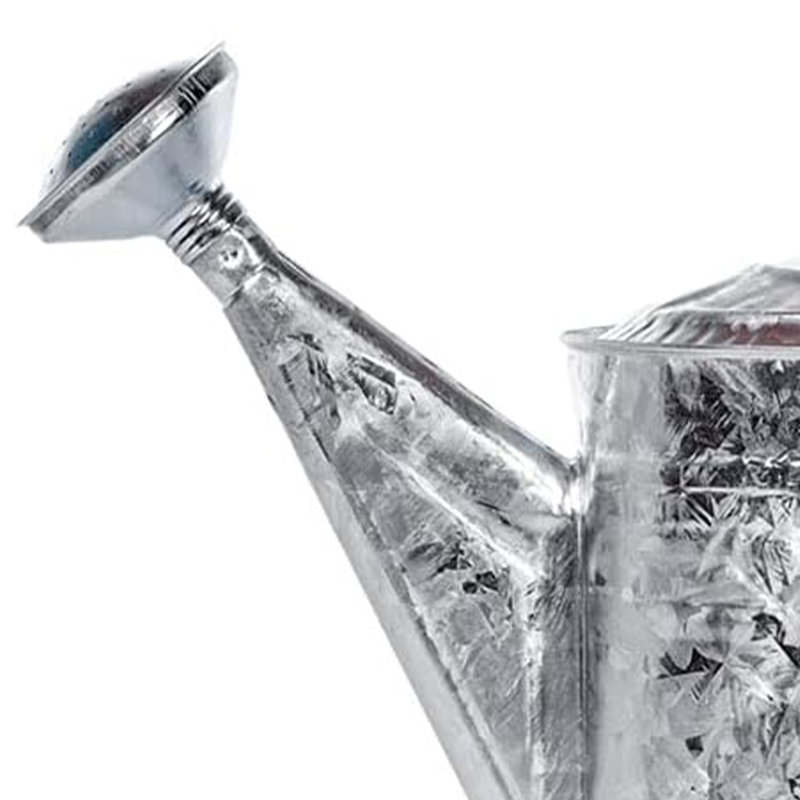 Weather Resistant Water Can