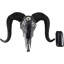 Ram Ram Skull Wall