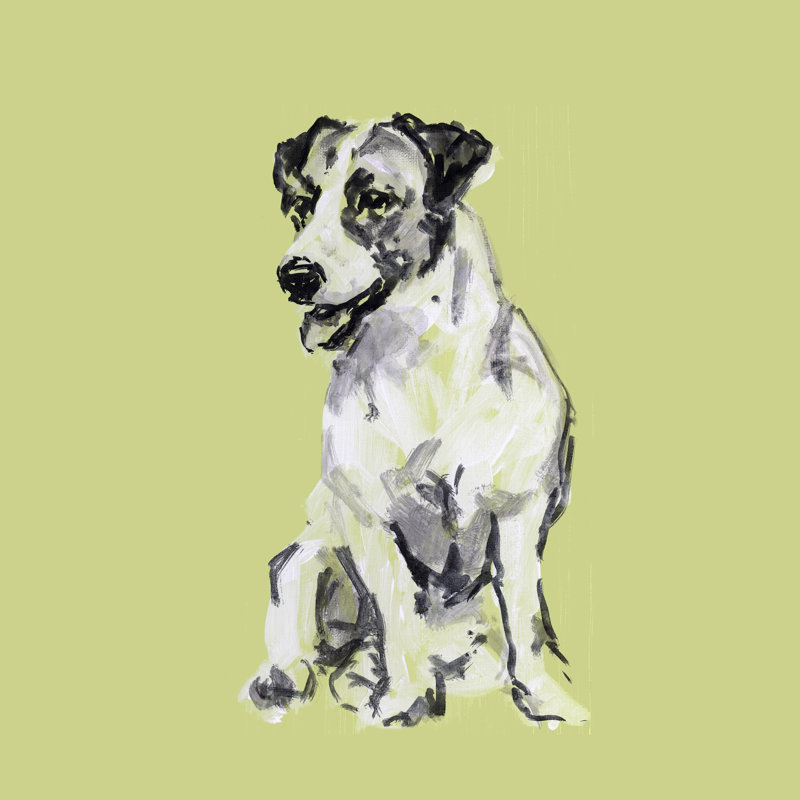 A Very Pop Modern Dog III by Cartissi - Wrapped Canvas Painting, 30cm H x 30cm W x 3.8cm D