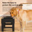 Ericka Elevated Feeder-304590785