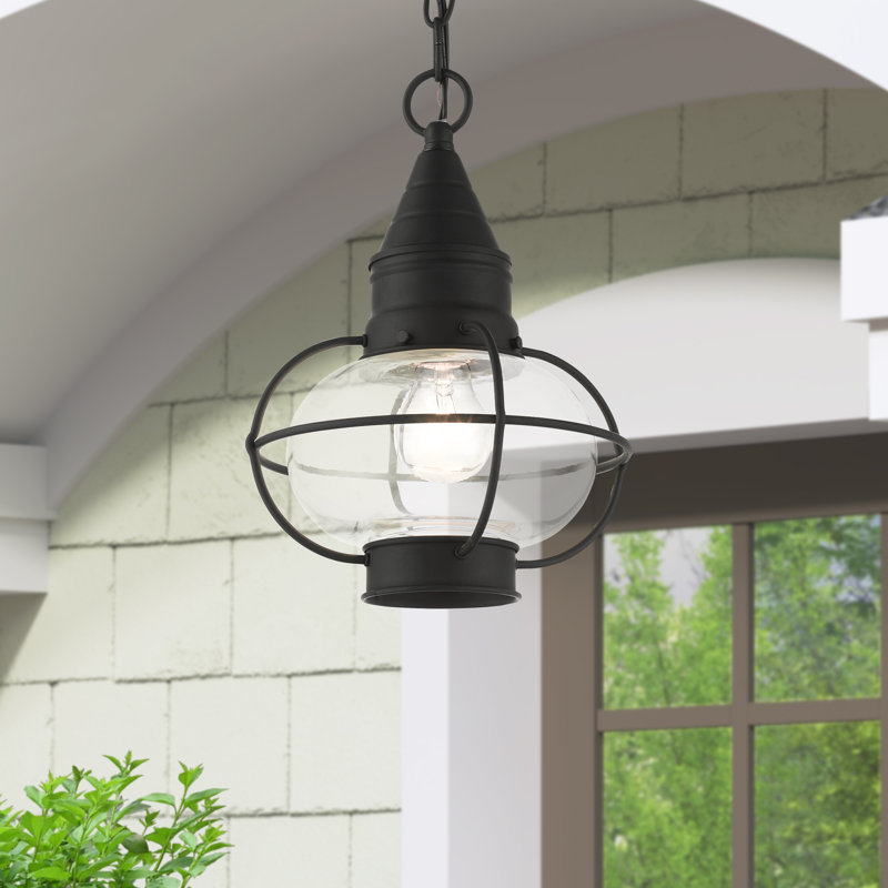 Lanterne suspendue d'extérieur 1 lumière H 9,75 po Rodolfo, Noir