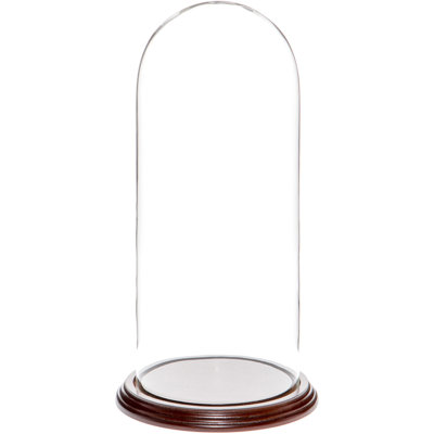 Vucciria 5.5" x 13" Glass Display Dome Cloche