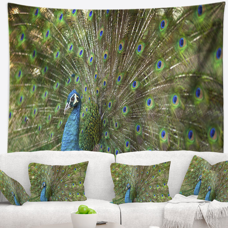 Beau paon avec tapisserie de plumes Animal, H 32 po x l 39 po