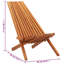 Poteet Folding Deck Chair