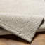 Lizan Shag Area Rug-22156367