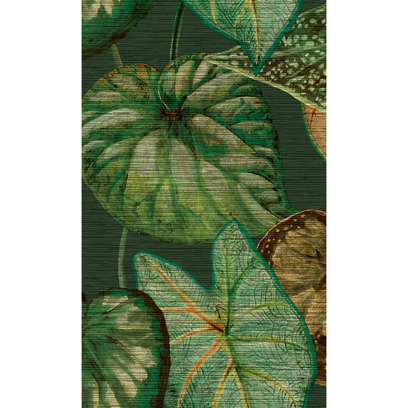 Rouleau de papier peint texturé L 33 pi x l 21 po Azjon, Vert