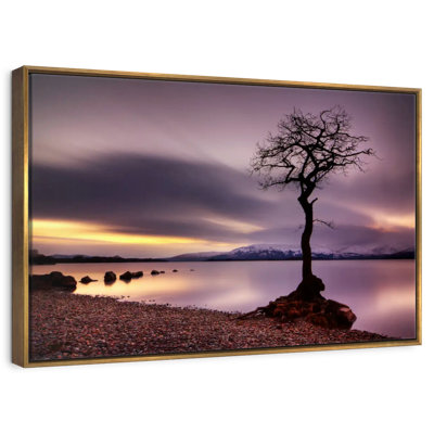 Loch Lomond Tree