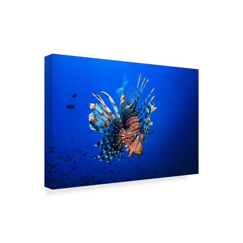 Art mural sur toile tendue - Barathieu Gabriel «Poisson-lion» pour décoration de salon, de chambre à coucher ou de bureau - 30 x 47