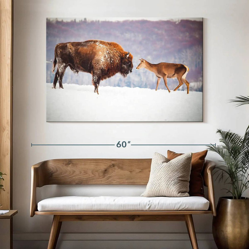 Bison et cerf A Advi en hiver